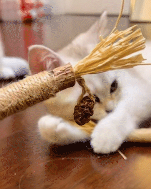 EARLY CHRISTMAS SALE - 48% OFF-Silvervine Sticks for Cats-BUY 5 GET 5 FREE